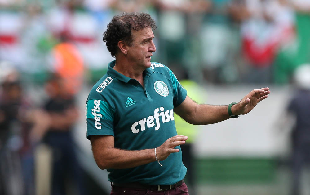 31250461766_96bc911eab_o