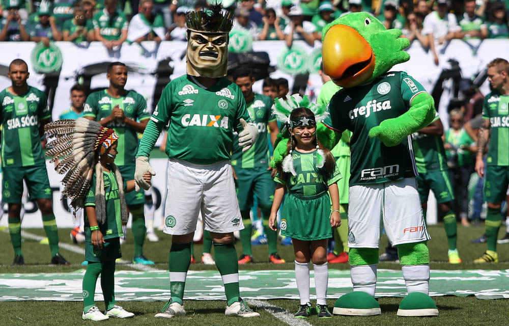 32407354916_b6edbec97a_o