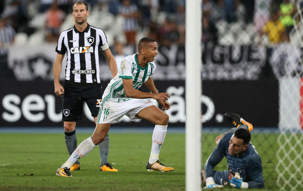 Botafogo vs Palmeiras