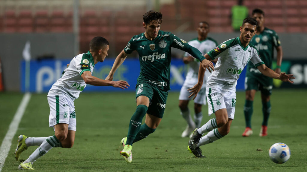 29-11-2023 - Palmeiras 4x0 América-MG - Campeonato Brasileiro 2023 -  Verdazzo